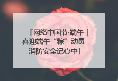 网络中国节·端午｜喜迎端午“粽”动员 消防安全记心中