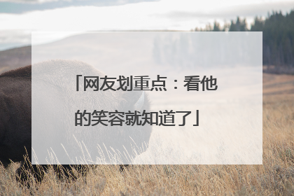 网友划重点：看他的笑容就知道了