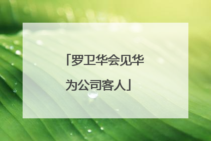 罗卫华会见华为公司客人