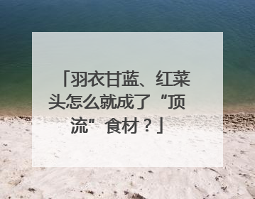 羽衣甘蓝、红菜头怎么就成了“顶流”食材？