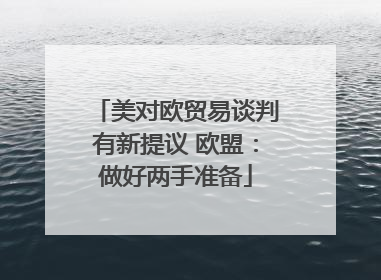 美对欧贸易谈判有新提议 欧盟：做好两手准备