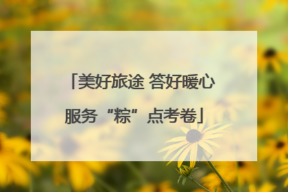 美好旅途 答好暖心服务“粽”点考卷