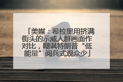 美媒：希拉里用挤满街头的示威人群画面作对比，嘲讽特朗普“低能量”阅兵式观众少