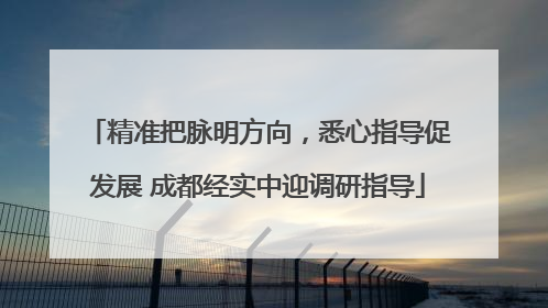 精准把脉明方向，悉心指导促发展 成都经实中迎调研指导