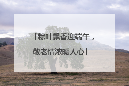 粽叶飘香迎端午，敬老情浓暖人心