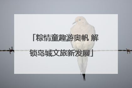 粽情童趣游奥帆 解锁岛城文旅新发展