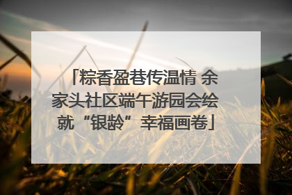 粽香盈巷传温情 余家头社区端午游园会绘就“银龄”幸福画卷
