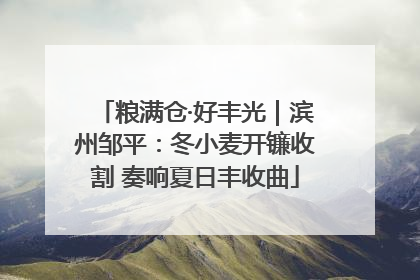 粮满仓·好丰光｜滨州邹平：冬小麦开镰收割 奏响夏日丰收曲