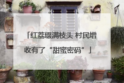 红荔缀满枝头 村民增收有了“甜蜜密码”