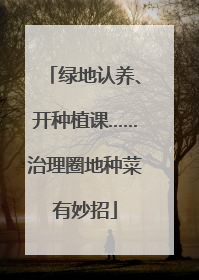 绿地认养、开种植课……治理圈地种菜有妙招