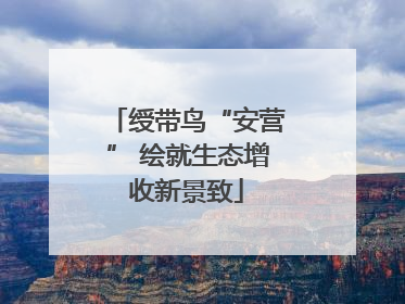 绶带鸟“安营” 绘就生态增收新景致