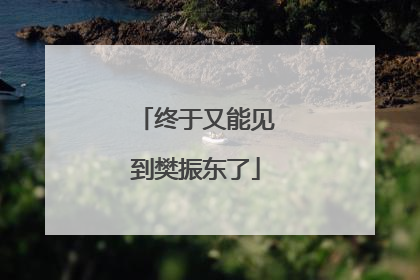终于又能见到樊振东了
