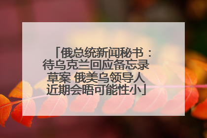 俄总统新闻秘书：待乌克兰回应备忘录草案 俄美乌领导人近期会晤可能性小