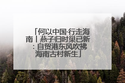 何以中国·行走海南丨燕子归时巢已新：自贸港东风吹拂 海南古村新生