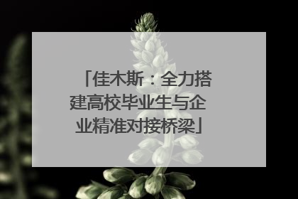 佳木斯：全力搭建高校毕业生与企业精准对接桥梁