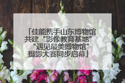 佳能携手山东博物馆共建“影像教育基地” “遇见最美博物馆”摄影大赛同步启幕