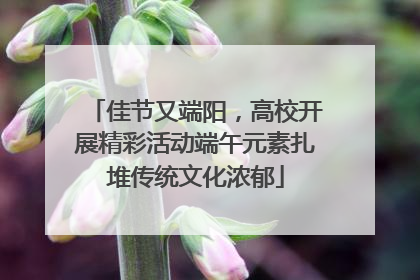 佳节又端阳，高校开展精彩活动端午元素扎堆传统文化浓郁