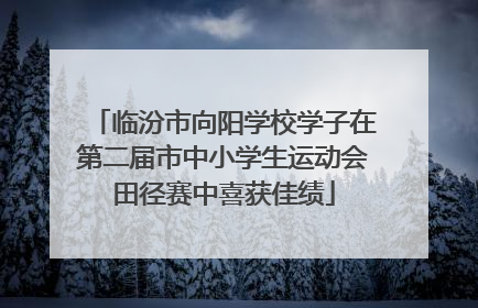 临汾市向阳学校学子在第二届市中小学生运动会田径赛中喜获佳绩