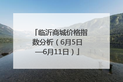 临沂商城价格指数分析（6月5日—6月11日）