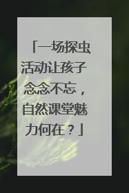 一场探虫活动让孩子念念不忘，自然课堂魅力何在？