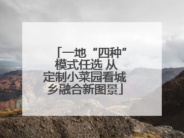一地“四种” 模式任选 从定制小菜园看城乡融合新图景
