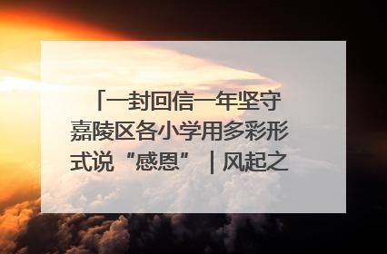 一封回信一年坚守 嘉陵区各小学用多彩形式说“感恩”｜风起之江 扶摇直上