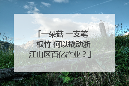 一朵菇 一支笔 一根竹 何以撬动浙江山区百亿产业？