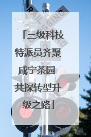 三级科技特派员齐聚咸宁茶园 共探转型升级之路