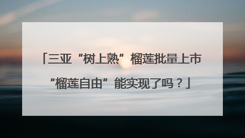 三亚“树上熟”榴莲批量上市 “榴莲自由”能实现了吗？
