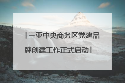 三亚中央商务区党建品牌创建工作正式启动