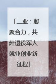 三亚：凝聚合力，共赴退役军人就业创业新征程