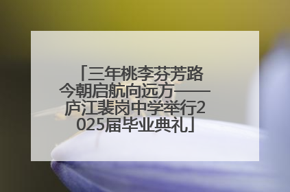三年桃李芬芳路 今朝启航向远方——庐江裴岗中学举行2025届毕业典礼