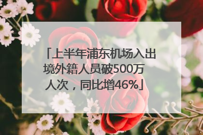 上半年浦东机场入出境外籍人员破500万人次，同比增46%