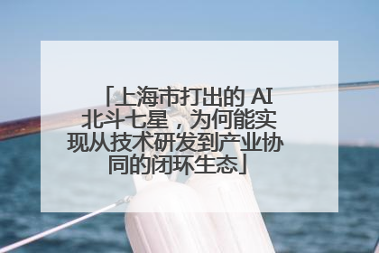 上海市打出的 AI 北斗七星，为何能实现从技术研发到产业协同的闭环生态