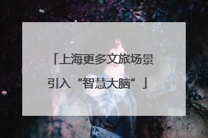 上海更多文旅场景引入“智慧大脑”