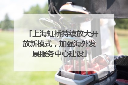 上海虹桥持续放大开放新模式，加强海外发展服务中心建设