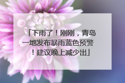 下雨了！刚刚，青岛一地发布暴雨蓝色预警！建议晚上减少出