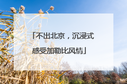 不出北京，沉浸式感受加勒比风情