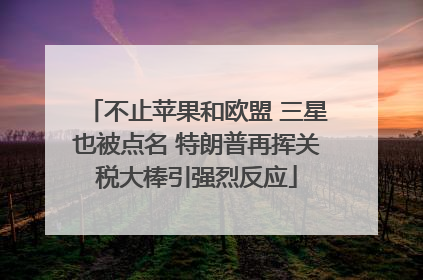 不止苹果和欧盟 三星也被点名 特朗普再挥关税大棒引强烈反应