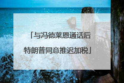 与冯德莱恩通话后 特朗普同意推迟加税