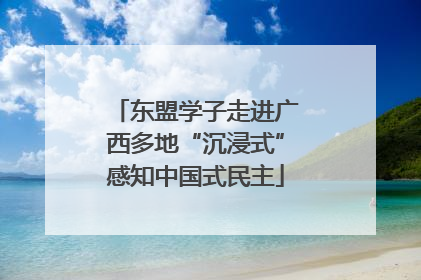 东盟学子走进广西多地“沉浸式”感知中国式民主