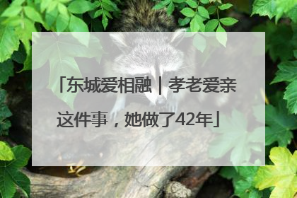 东城爱相融｜孝老爱亲这件事，她做了42年
