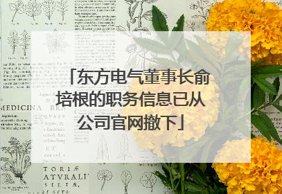 东方电气董事长俞培根的职务信息已从公司官网撤下