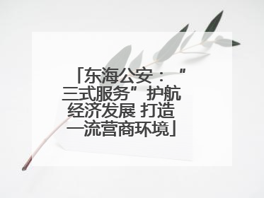 东海公安：“三式服务”护航经济发展 打造一流营商环境