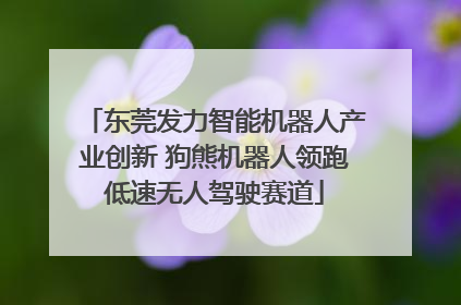 东莞发力智能机器人产业创新 狗熊机器人领跑低速无人驾驶赛道