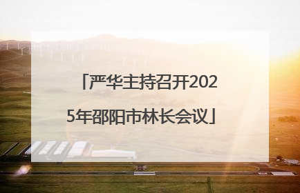 严华主持召开2025年邵阳市林长会议