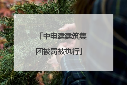中电建建筑集团被罚被执行