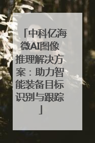 中科亿海微AI图像推理解决方案：助力智能装备目标识别与跟踪