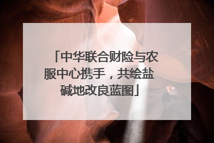 中华联合财险与农服中心携手，共绘盐碱地改良蓝图