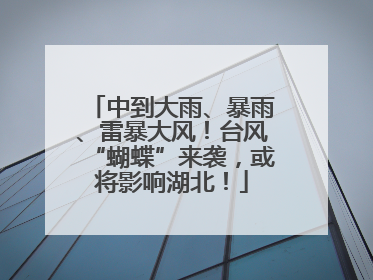 中到大雨、暴雨、雷暴大风！台风“蝴蝶”来袭，或将影响湖北！